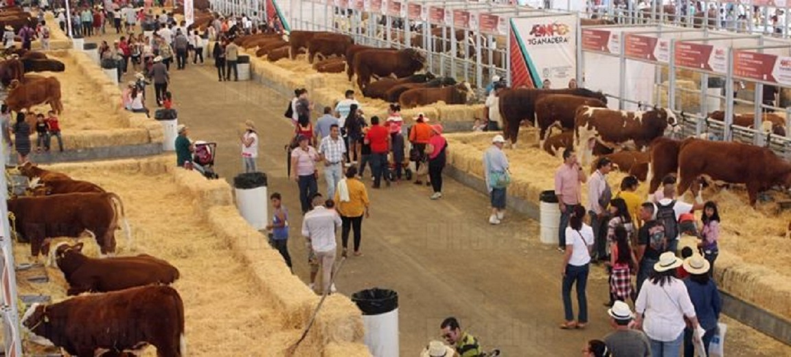 Expo ganaderapecuaria se consolida como la mejor en su tipo en América