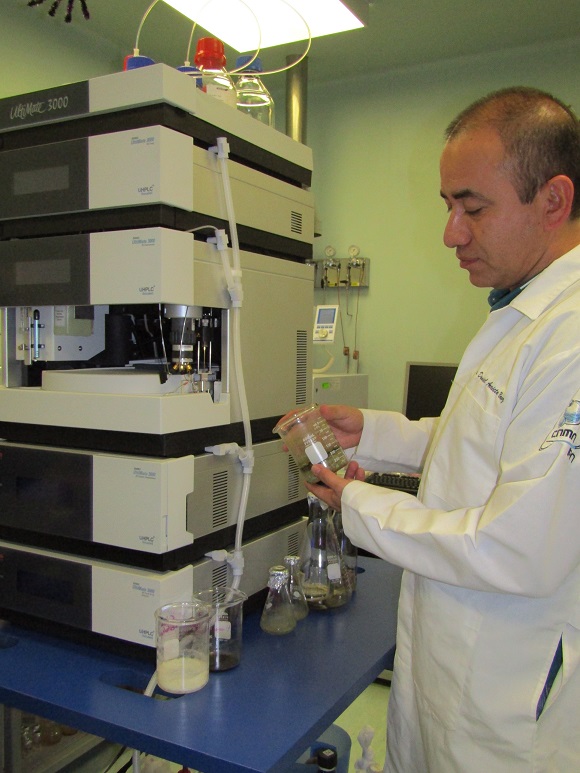 Trabajan investigadores del IPN para obtener materiales biodegradables con la cáscara de jitomate