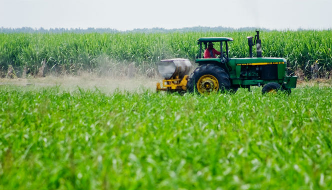 Temas de sanidad en materia agroalimentaria, prioridad para el Gobierno Federal: SAGARPA