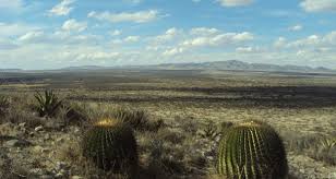 PRD Zacatecas denuncia a gobiernos por beneficiar a mineros y ocasionar daño ambiental