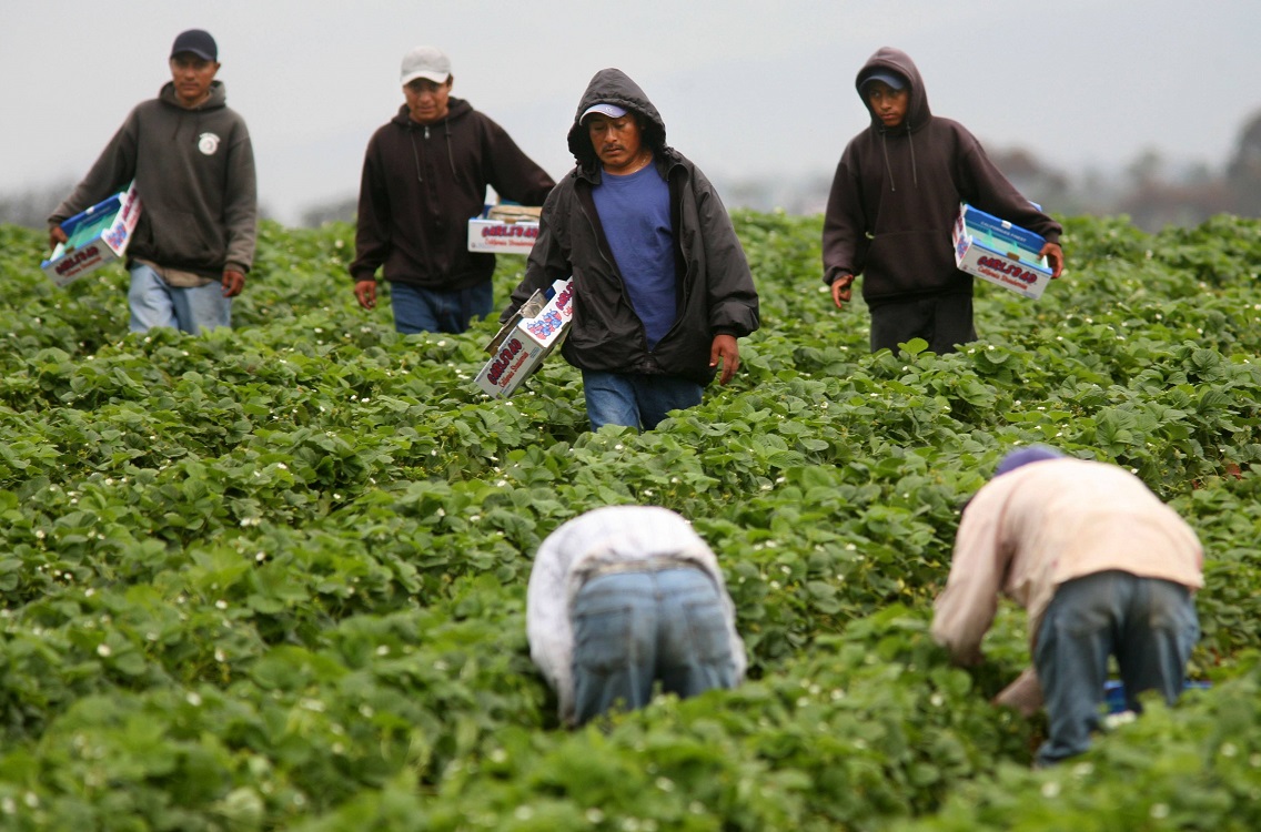 El 10% de la economía de EU depende de inmigrantes mexicanos