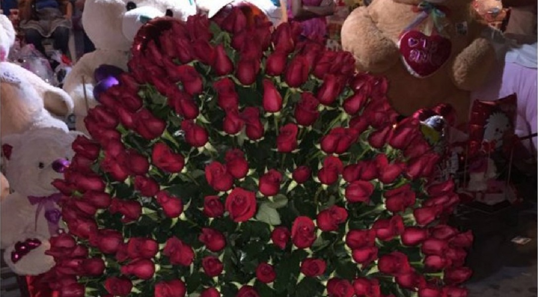 Producción de rosas garantiza abasto en día de San Valentín