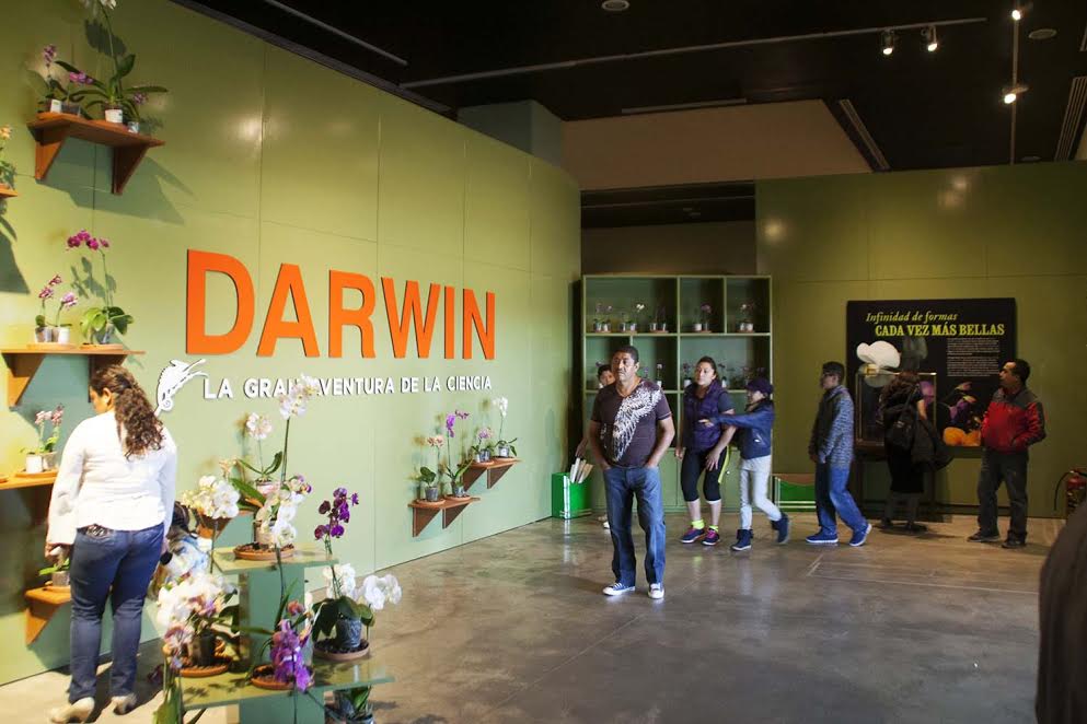 “Darwin. La gran aventura de la ciencia” contará con actividades complementarias