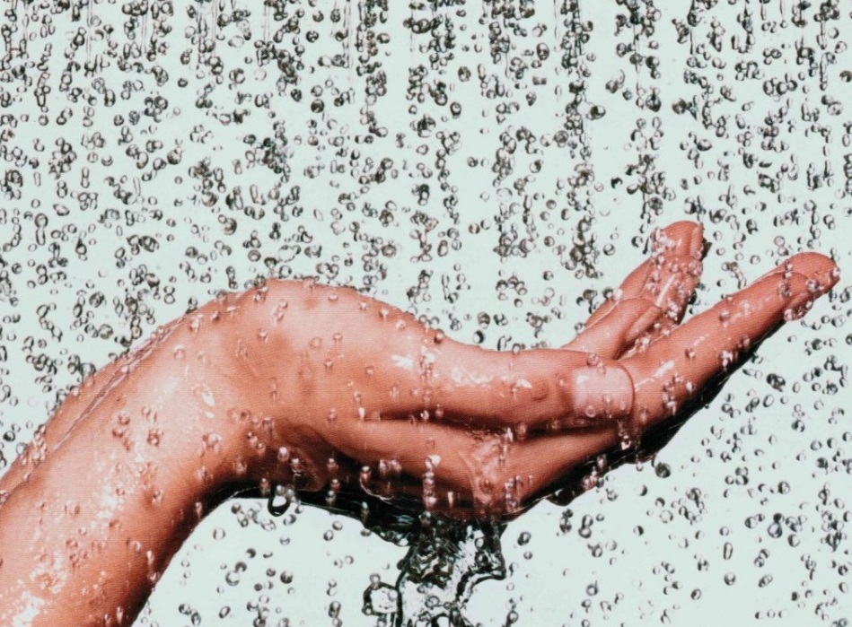 Ahorran productos certificados hasta 70% de agua: NYCE