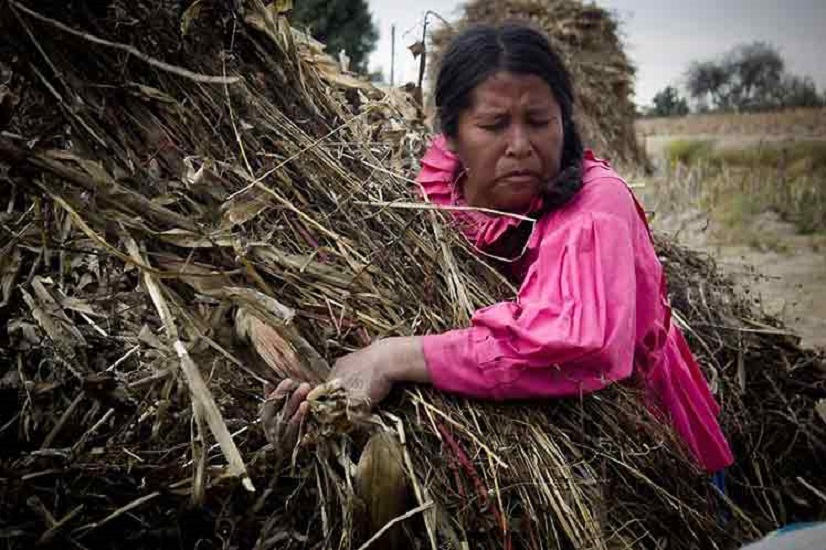 Mujeres rurales, jornaleras y productoras analizan su condición