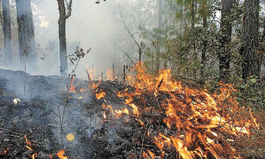 Protección Civil presenta recomendaciones ante la presencia de incendios forestales