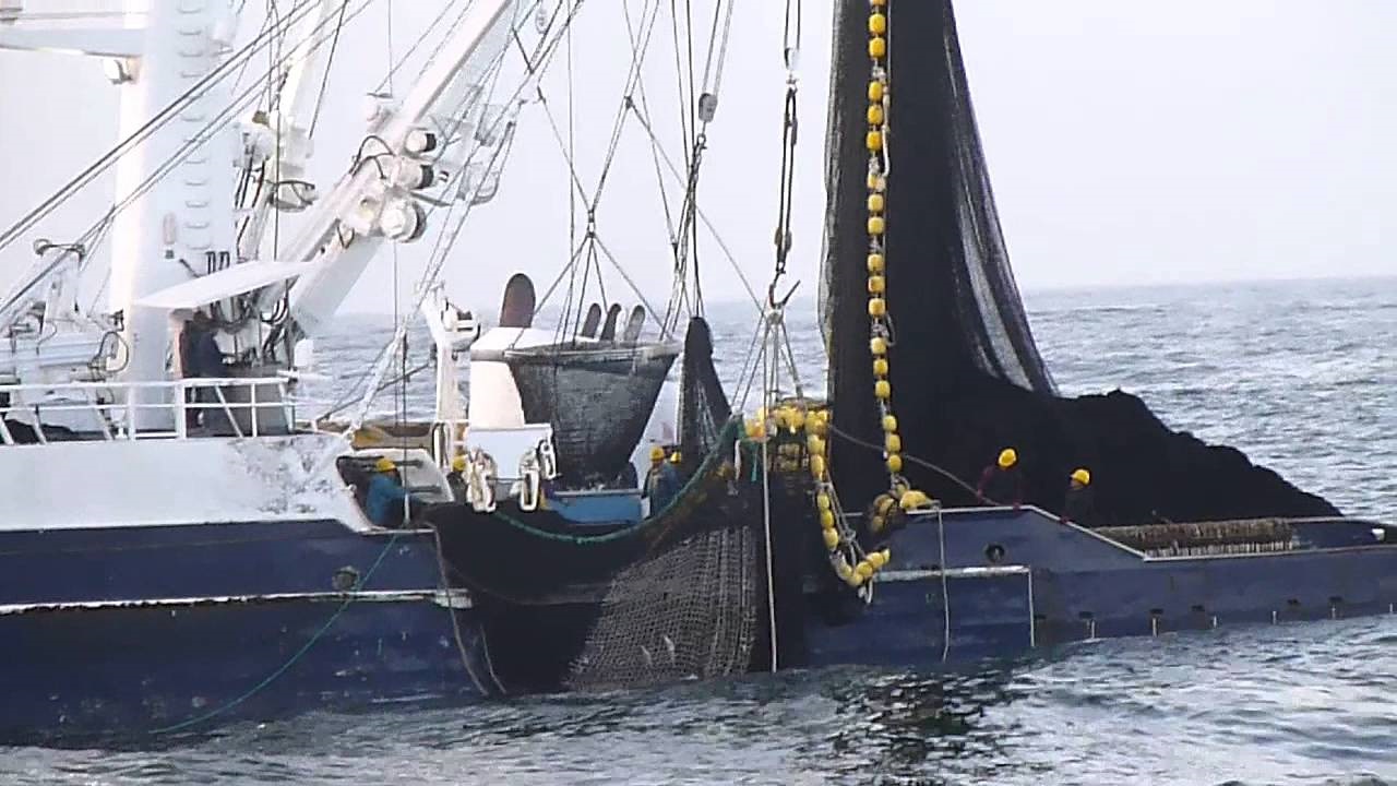 El mar es una zona de alta productividad y ofrece un crecimiento sustentable: CONAPESCA