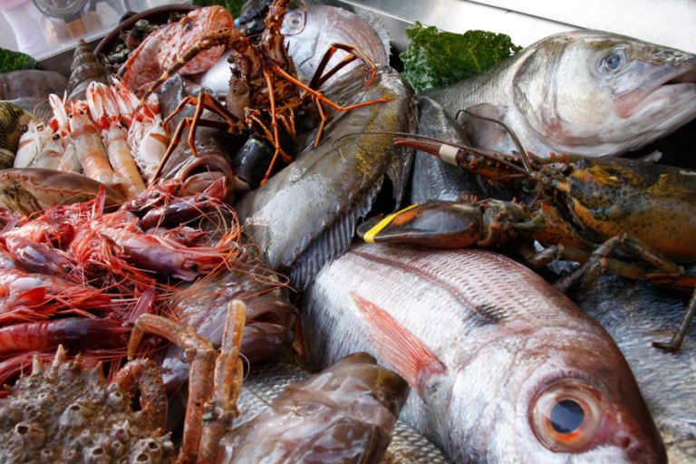 Cuaresma, mayor consumo de pescados y mejor salud