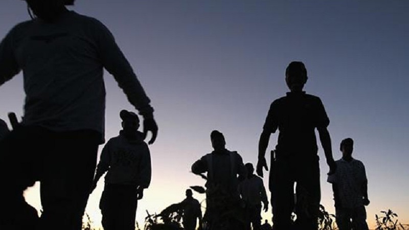 Semigrante reporta más de 2 mil michoacanos repatriados de EU