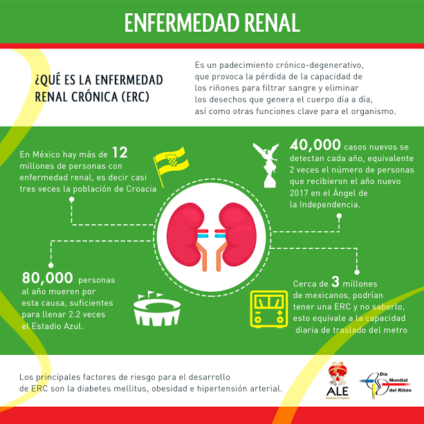 En México, cada año mueren 80 mil personas por Enfermedad Renal Crónica