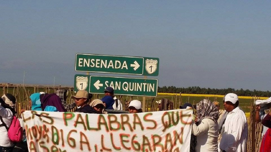 Dos años de rebelión jornalera en el Valle de San Quintín