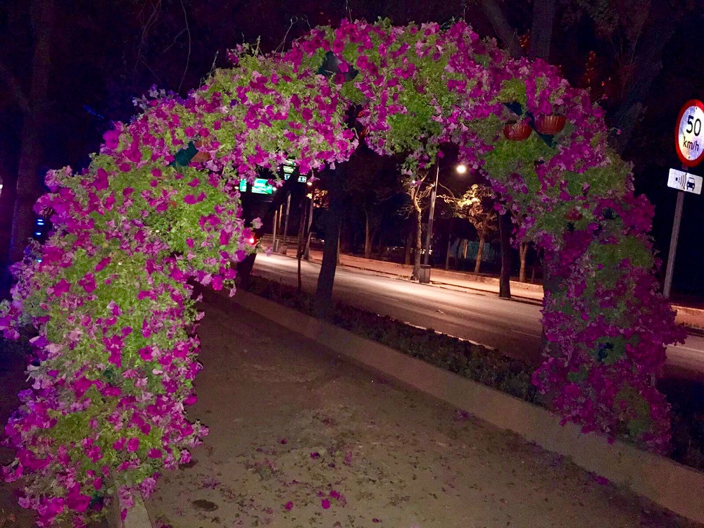 Instalan 72 arcos florales en avenida Paseo de la Reforma