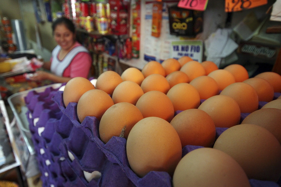 Piden avicultores a COFEPRIS evitar importación de huevo que no cumple con normas