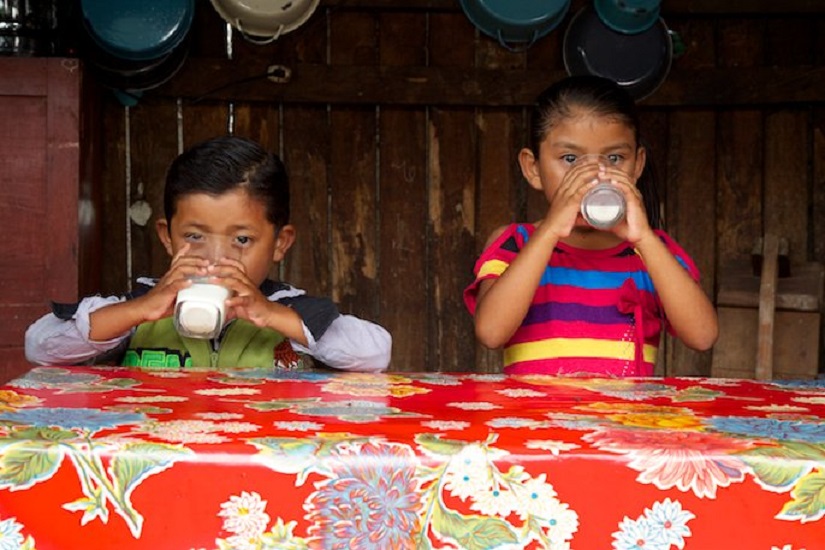 En México 2 millones de menores de 5 años sufren anemia