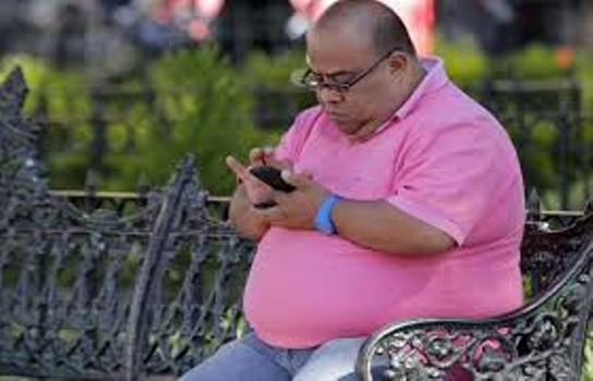 LA COSTUMBRE DEL PODER: Morir de hambre u obesidad