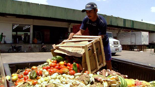 En México se desechan 20 millones de toneladas anuales de desperdicio de  alimentos: Fundación Mejoremos el Campo
