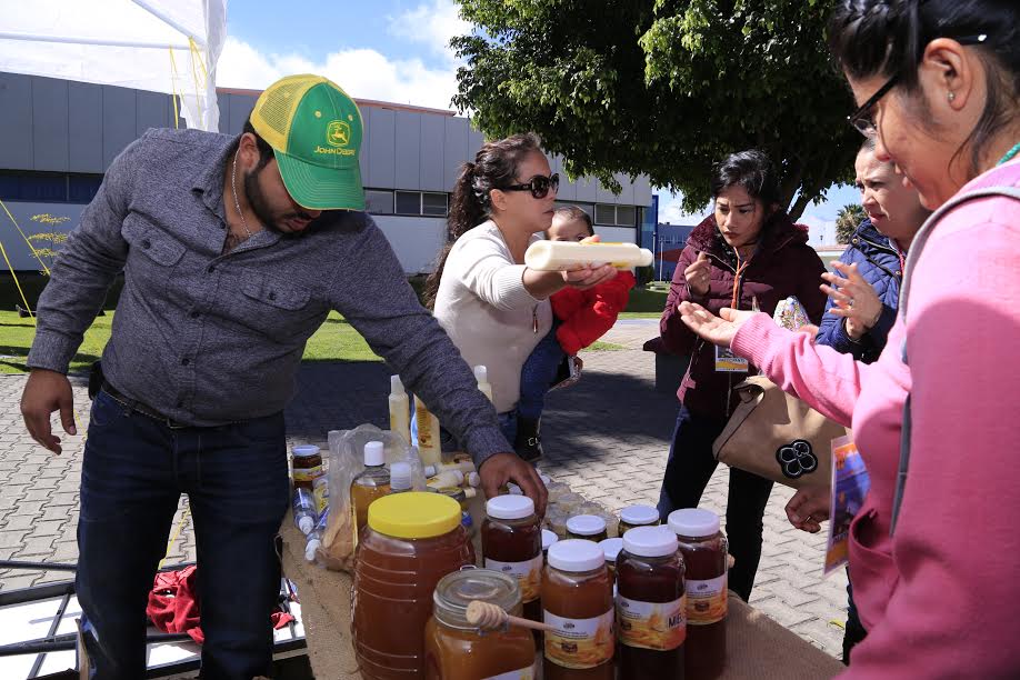 Se destinarán 280 millones de pesos para el fortalecimiento de la producción de miel