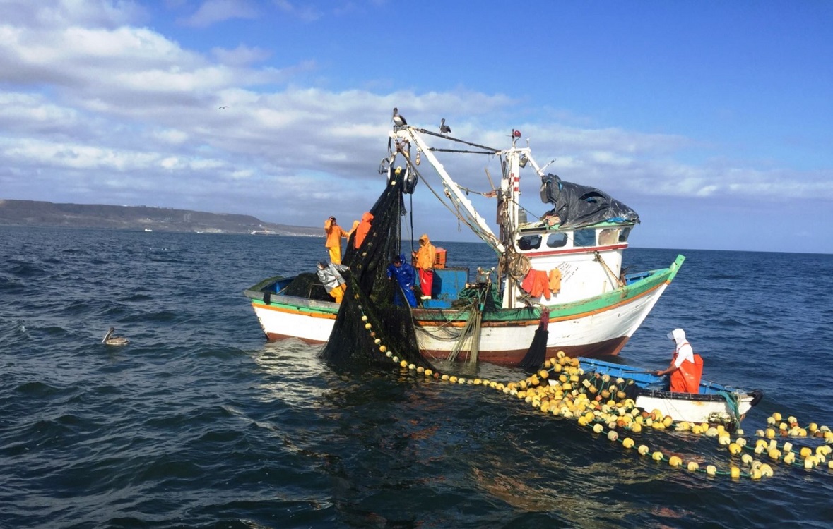 En el Senado se busca a través de talleres la sustentabilidad de ecosistemas y terminar con la pesca ilegal