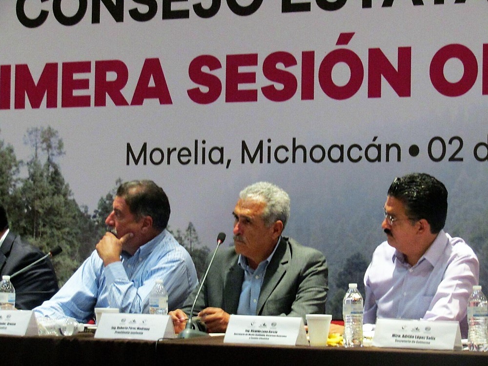 Pierde Michoacán 1.2 millones de hectáreas forestales