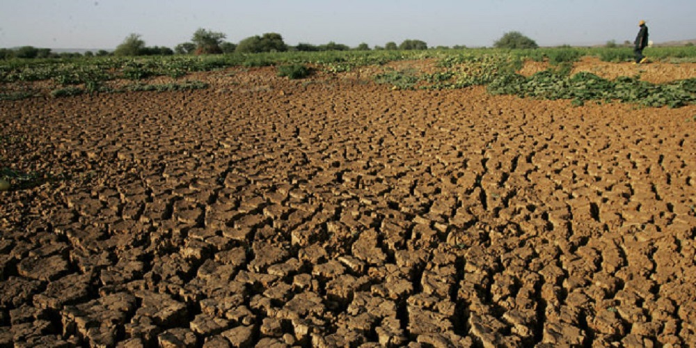Urge programa de recuperación de suelos agrícolas por afectaciones de sequías: UFIC