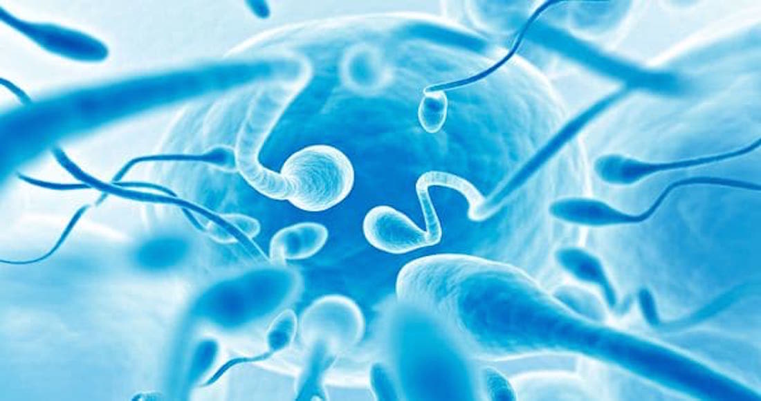 El hombre occidental se está quedando sin espermatozoides: Estudio