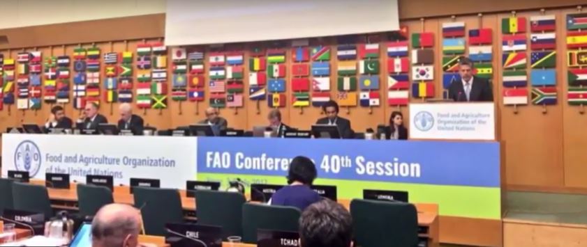 Presenta México ante el pleno de la FAO informe de la Conferencia Regional para América Latina y el Caribe