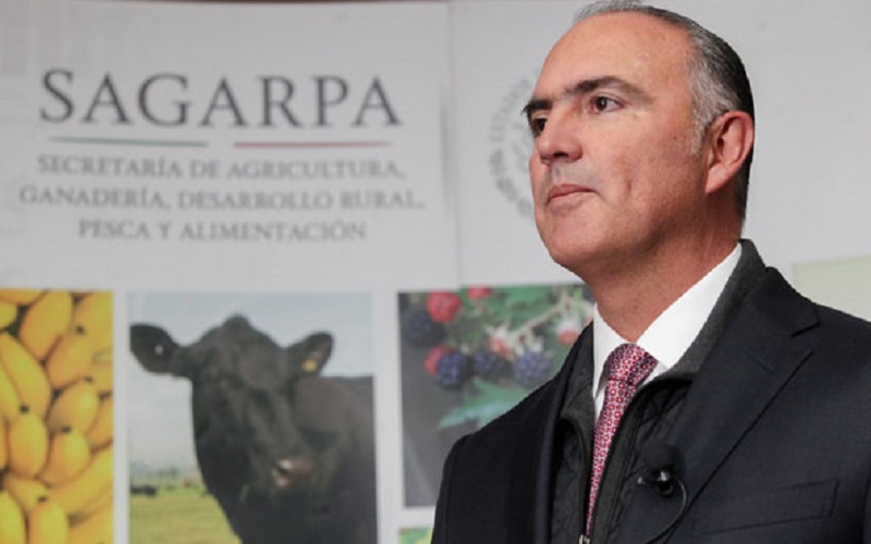 La renegociación del TLCAN en materia agroalimentaria será positiva para México: Calzada Rovirosa