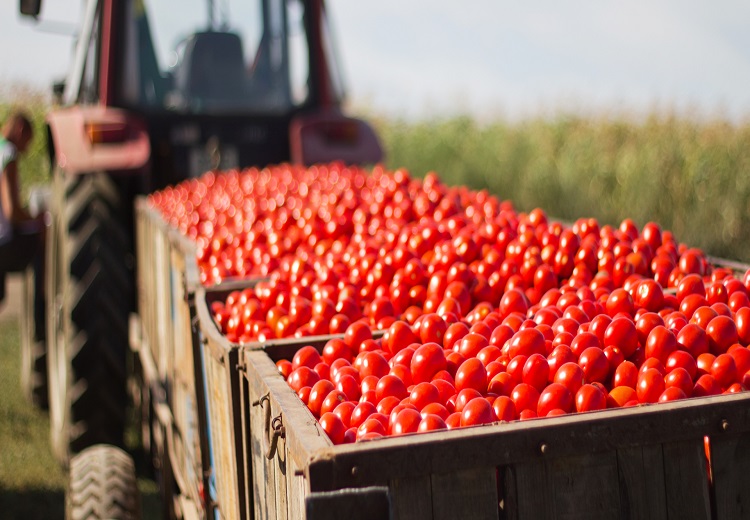 TLCAN debe discutir políticas domésticas agroalimentarias: CEDRSSA