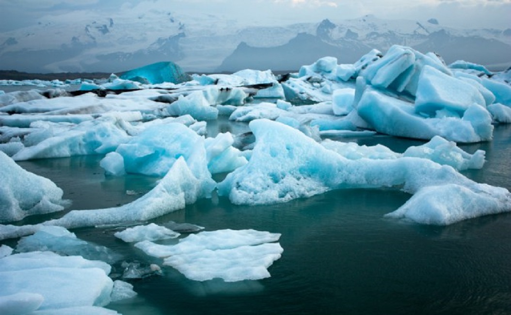 G20 sin Estados Unidos luchará contra cambio climático, libre comercio y terrorismo a escala global: CEIGB