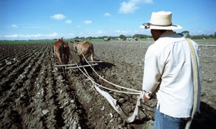 Campo mexicano necesita innovar para mejorar productividad: Agrodone