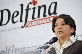 Delfina va por un lugar en el Senado para 2018