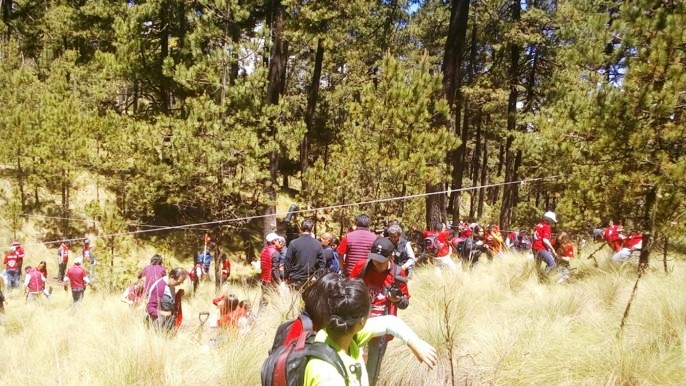 Zinacantepec inicia jornada anual de reforestación 2017