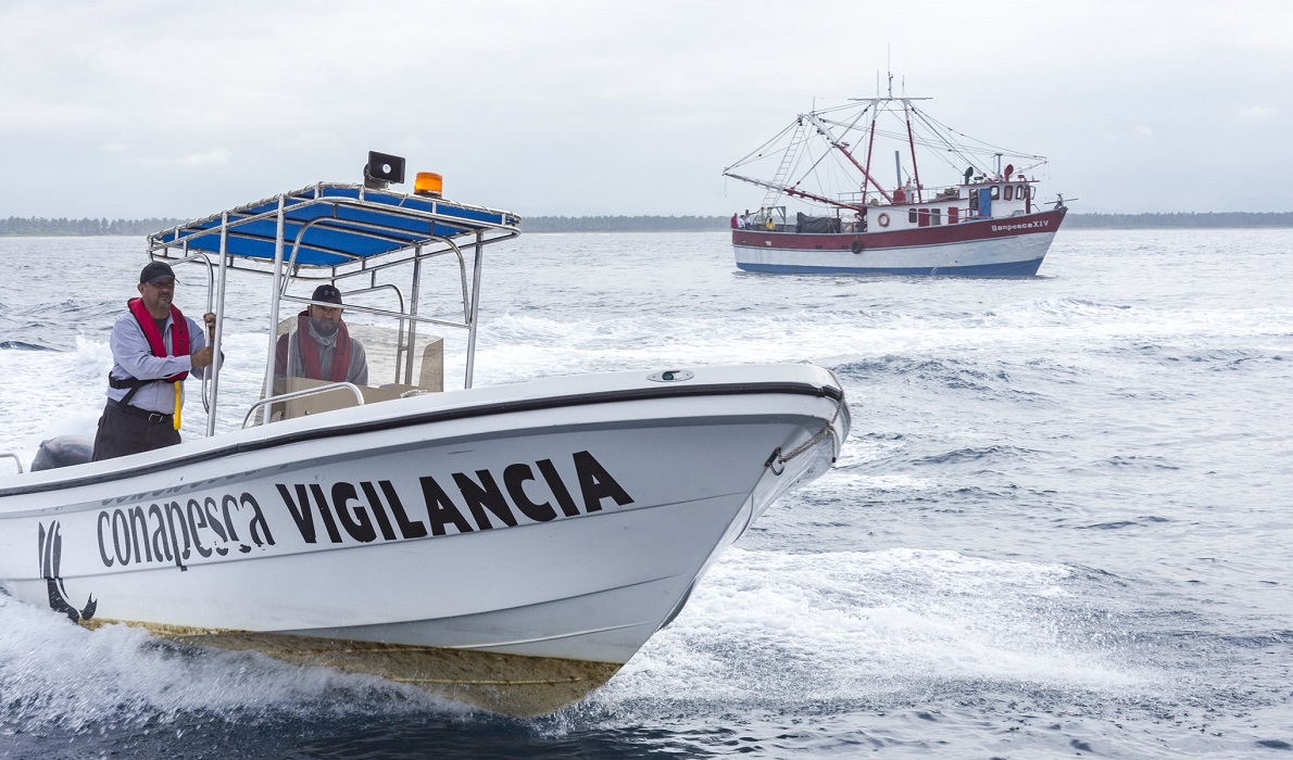 Aplica Gobierno de la República disposiciones para proteger a la vaquita marina: CONAPESCA