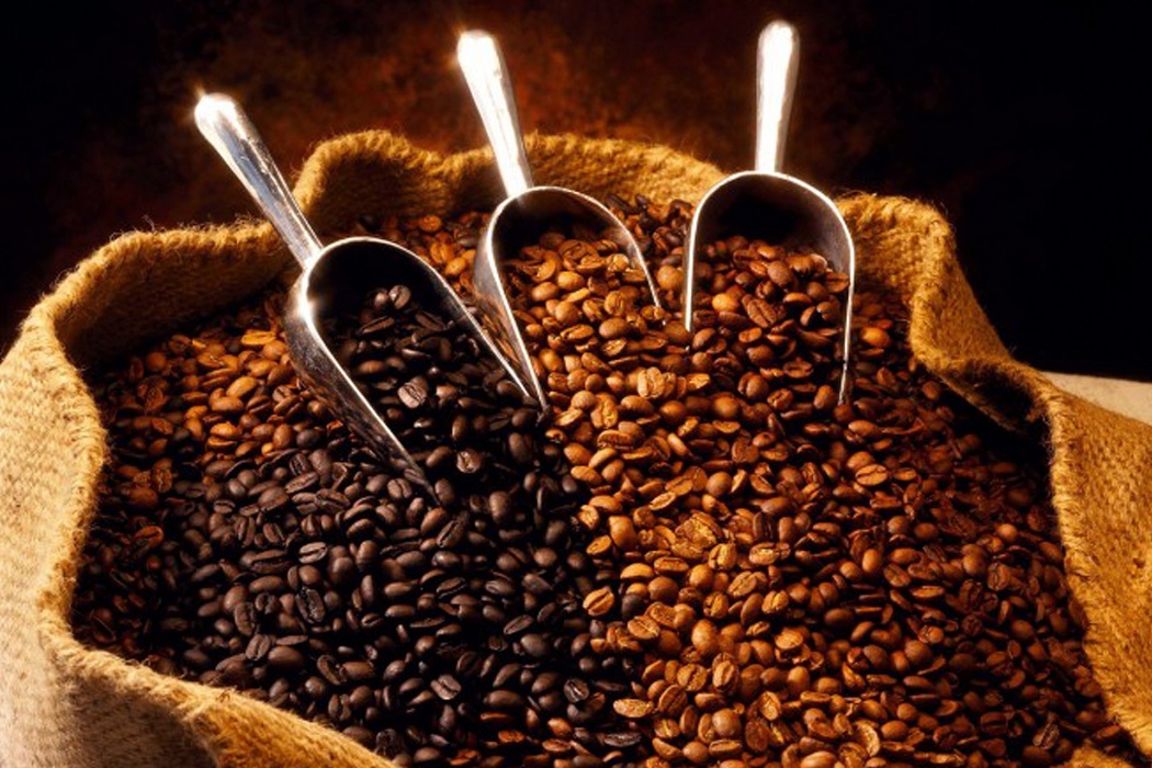 Se incrementa 30 por ciento producción de café en 2017