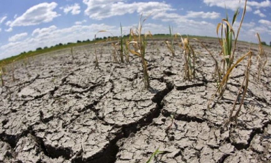 Congreso solicita declaratoria de contingencia climatológica en el sector agropecuario