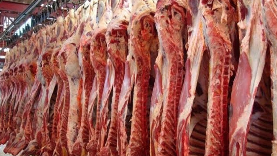 Publicará SAGARPA norma para clasificación de carne de bovino