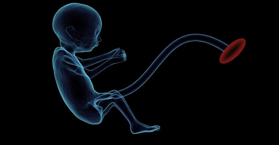 Científicos corrigen genes portadores de una enfermedad en embriones humanos