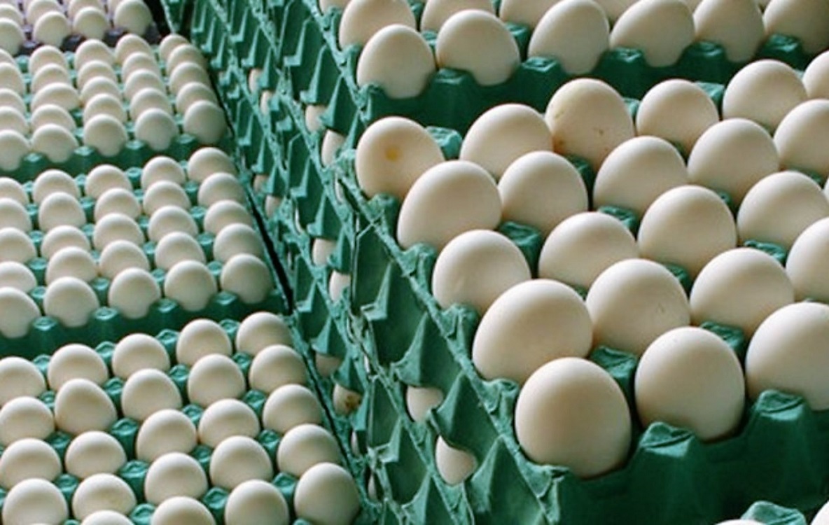 Importación de huevo estadounidense no cumple lineamientos de seguridad de la NOM