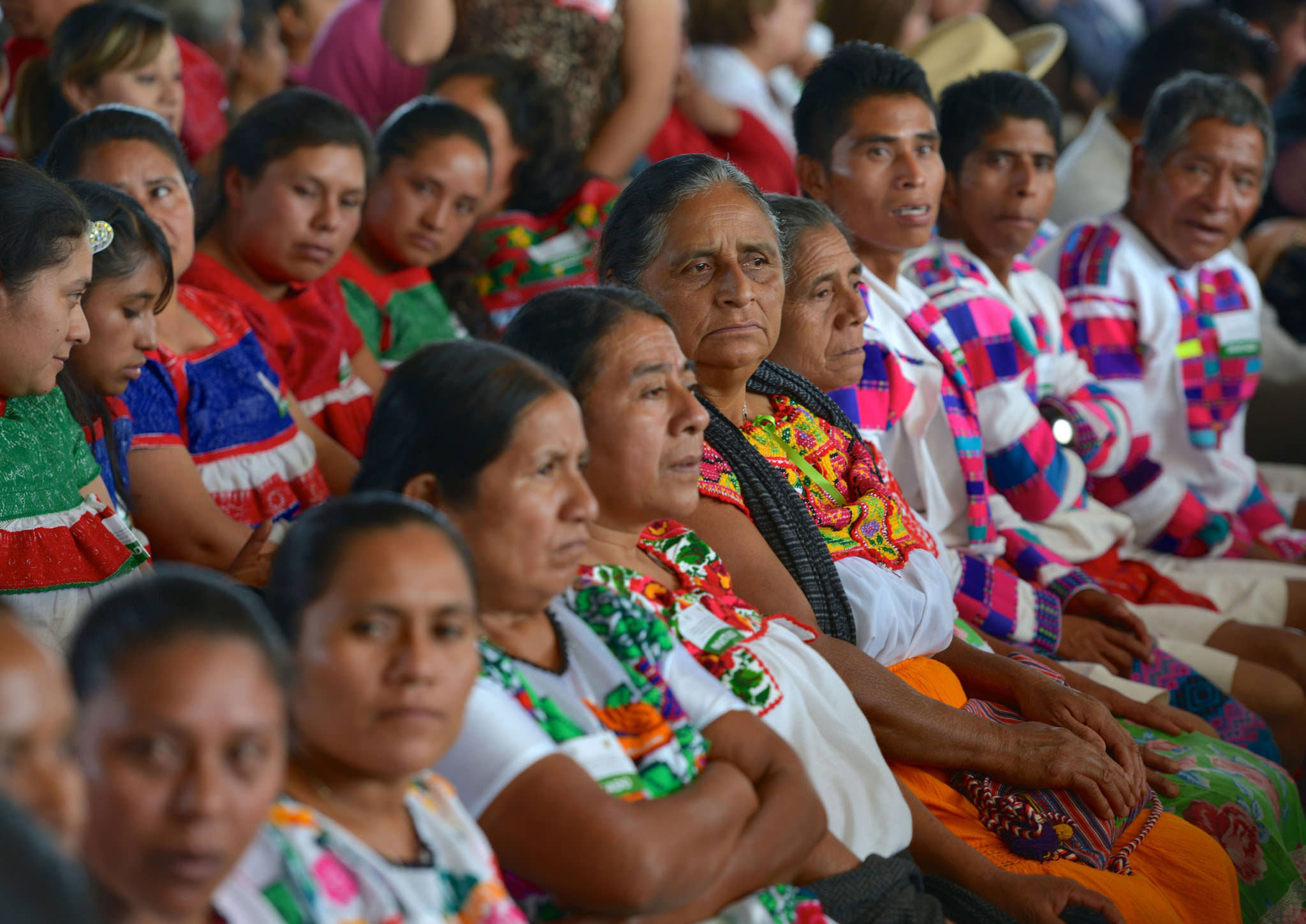 Prioritario, fortalecer la participación política de las mujeres indígenas: diputado Bonifaz Moedano