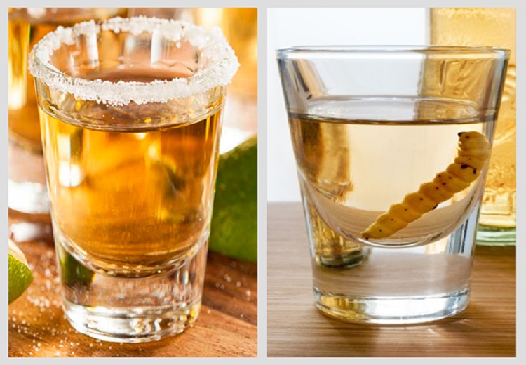 ¿Conoces las diferencias entre el mezcal y el tequila?