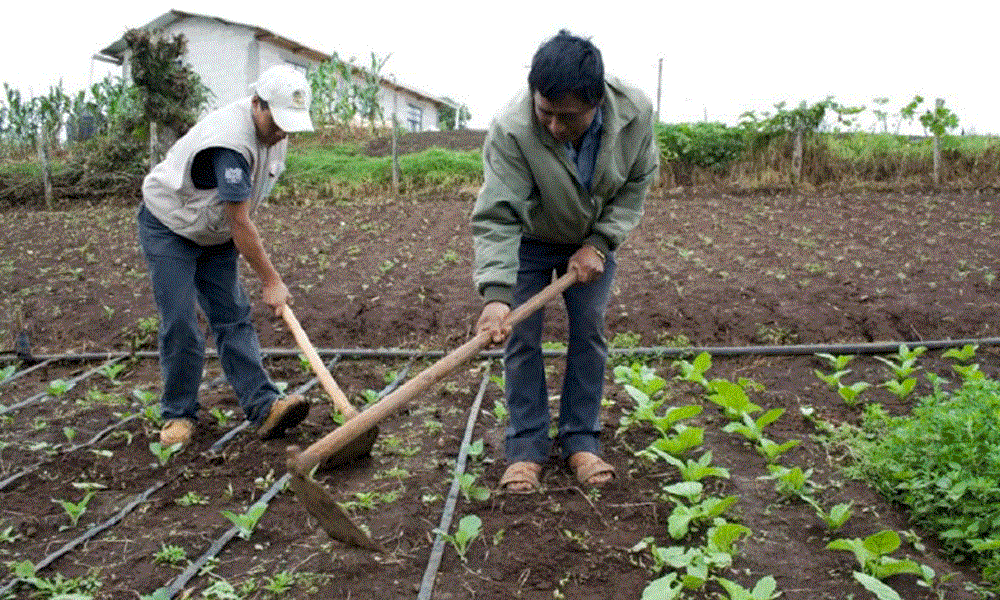 Impulsan SAGARPA y USDA a extensionistas en mitigación y adaptación al cambio climático en el sector agropecuario