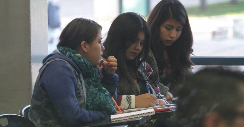 En México, sólo 2 de cada 10 han estudiado la universidad: OCDE