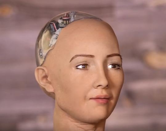 Sophia, la robot humanoide visitará México el próximo año