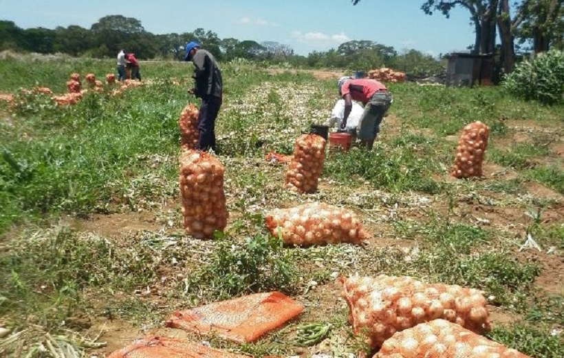 Impulsa México la diversificación de su mercado agropecuario en el mundo: AMSDA