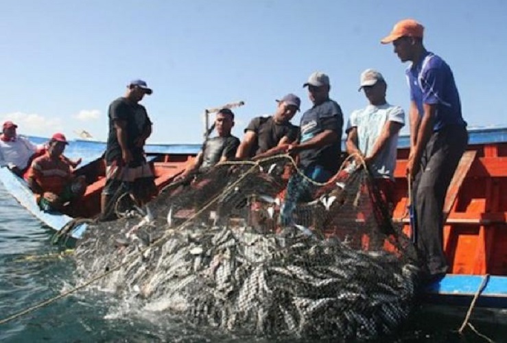 Llaman a otorgar subsidios a gasolina para pescadores ribereños de Campeche