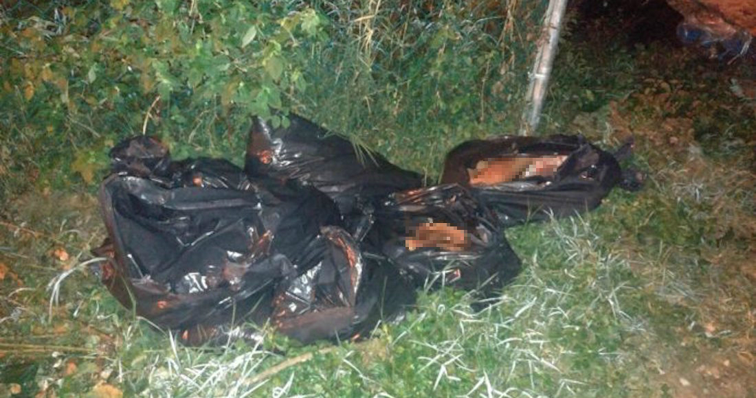 Localizan 11 bolsas negras con cuerpos descuartizados en Xalapa