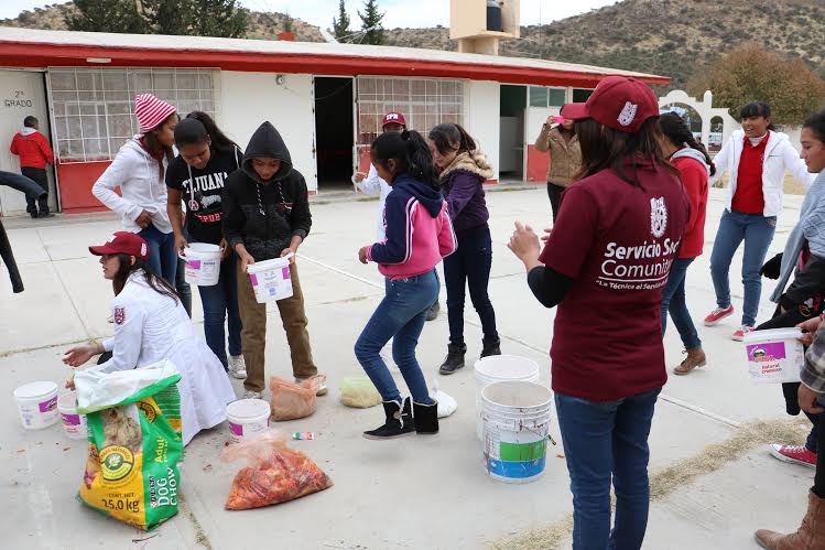 Brigadistas del IPN en acción