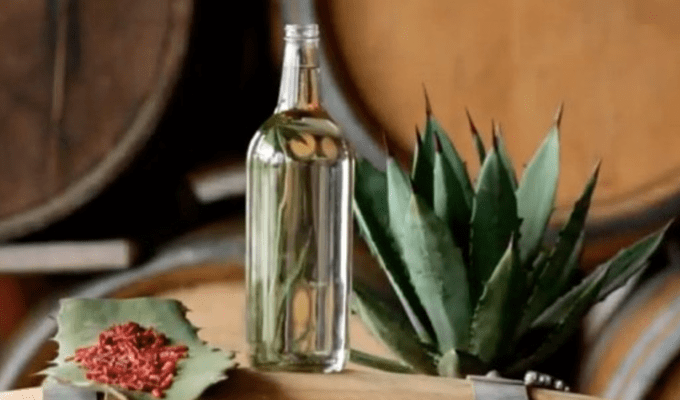 ¿El Consejo Regulador del Mezcal cambiará de presidente el próximo año?