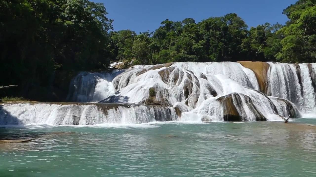 CHISPAS: Que hay detrás del desvío de aguas de las Cascadas de Agua Azul?