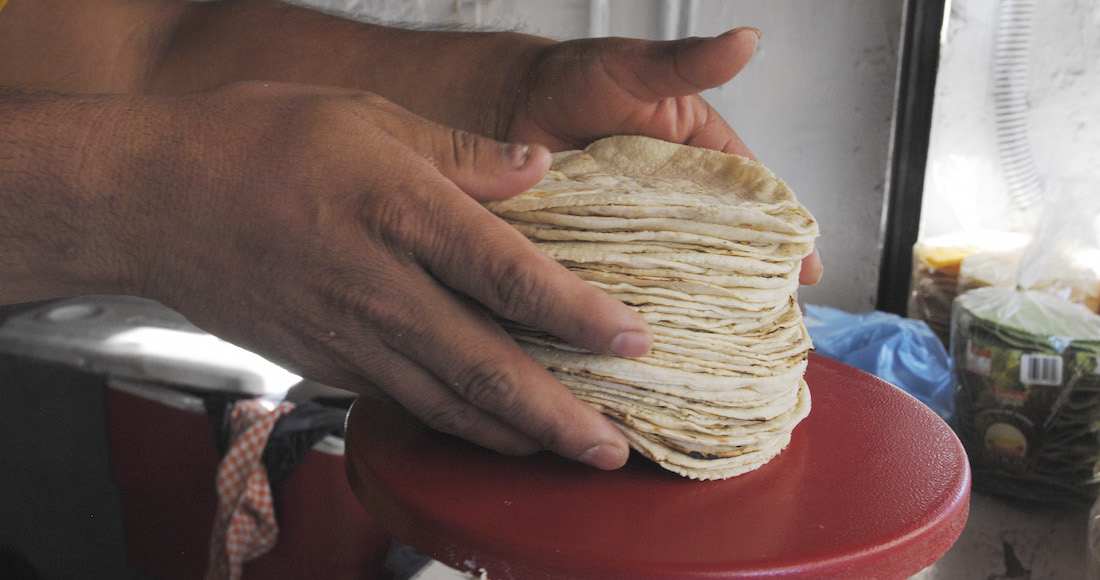 Consumo de tortillas va en declive por su sabor y textura